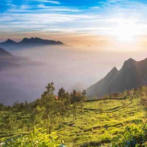 aavas-kolukkumalai-sunrise-001